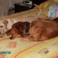 JUGANDO CON ARES 